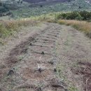 동문이용소 이미지