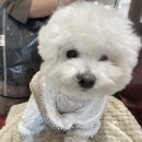시아헤어샵
