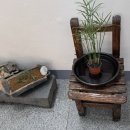 욕쟁이 장마담집