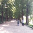 지리산돌마루 이미지