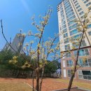 원주굽이길 4코스 치악산바람길 | 원주굽이길 제4코스 치악산바람길
