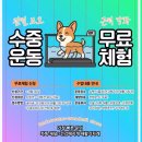 쇼펫 | 시흥 건강해지개재활기차개 방문 후기