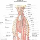 염기룡한의원 이미지