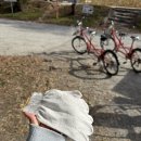 순천만습지2_안내소 오른쪽 함체_#1 | 순천만 습지 자전거 대여 정보, 주차 위치, 후기