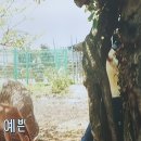 블루베리사슴농장 이미지