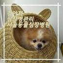 서울동물심장병원 | 서울동물심장병원 방문 후기｜이첨판폐쇄부전증 추적검사 기록