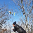 만경농장2 이미지