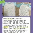 세탁박사 이미지