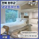 댕댕포레스트 이미지