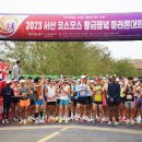 서산시체육회, 2023 서산 코스모스 황금들녘 마라톤대회 성황리 마쳐!(서산태안TV) 이미지