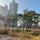 중랑구 자원재활용 선별센타 네이버블로그