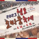 [올마이스] 청도 소싸움축제 이미지