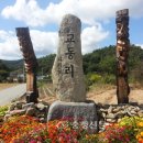 양강면사무소 이미지