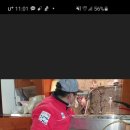 코스트인사이트주