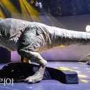 엑스포공원 이미지