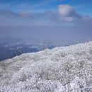 황홀했던 광주 무등산의 겨울 - 관동사람들 이미지