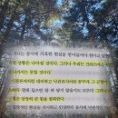 불변의 법칙 책 | 모건하우절 책 후기 | 비관론자처럼 대비하고 낙관론자처럼 꿈꾸라 추천 리뷰 핵심 요약