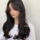 차헤어 - 양주시 삼숭로38번길 20 | 차헤어