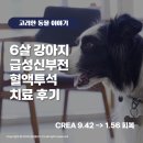 (주)고려메디칼 이미지