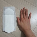 뽀솜뽀솜 이미지