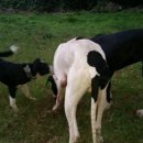 검암산(중간) 이미지