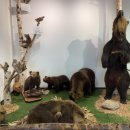 호인목장 이미지