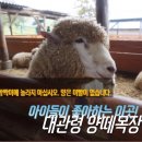 대근목장 네이버블로그