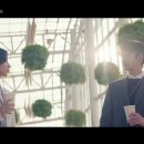 노비카캐시미어 이미지