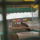 윤호축산 이미지