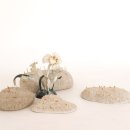 노은로(유성-23) 이미지