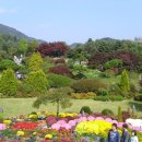 가을여행 이미지