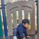 리코젬블럭으로 놀아보아요 이미지