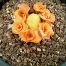 폐백&떡·한과 이미지