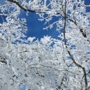 가족호텔 백합동 이미지