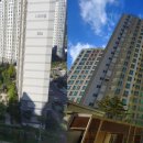 나비공인중개사사무소 이미지