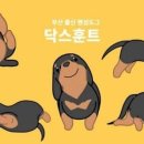 펫친구 이미지