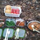 패밀리농장 이미지