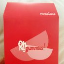 비타민랜드 | 허벌랜드 에너지 스타 멀티비타민 후기 | 알약처럼 부담 없고 젤리처럼 먹기 쉬운 식물성 구미젤리