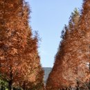 안성맞춤랜드 이미지