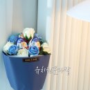베베플로르