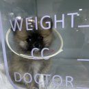 김해동물메디컬센터 이미지