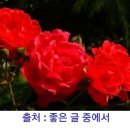 좋은생각 이미지