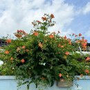 대성자동차마을 이미지