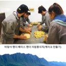 서부(우) 이미지