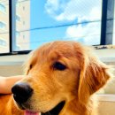 플러피 FLUPPY 이미지