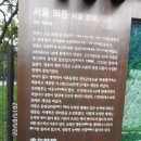 한북삼각칼바위단맥종주 - 오패산 오동산 월곡산 천장산 배봉산 - 서울시내 마지막 남은 단맥 산줄기 시원섭섭합니다^^ 이미지