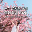 민주공원중극장 | 부산 민주공원 겹벚꽃 스냅 촬영안내 2026