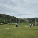 도고목장 | 충남 아산 가볼만한곳 대형 카페 지새울 추천 도고 샤스타데이지 꽃 명소