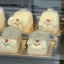 에디션 바이 아늑 이미지