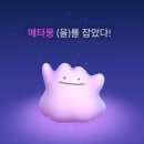 프리미엄뷰티카페